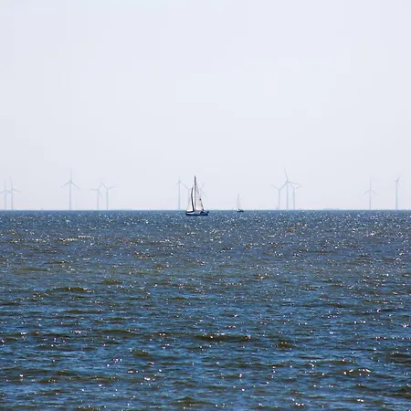 Modern On The Ijsselmeer * Enkhuizen